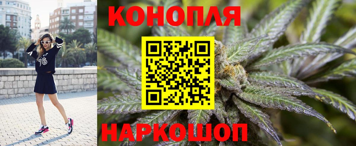 Бошки марихуана план  Вход с VPN  Соликамск  Бошки Шишки THC 21%  Бошки марихуана Amnesia  Марихуана Bruce Banner 